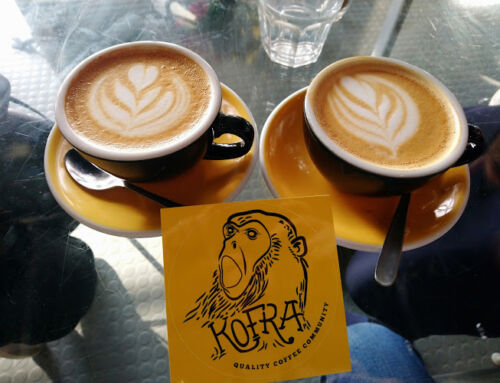 Kofra at Sainsbury Centre for Visual Arts