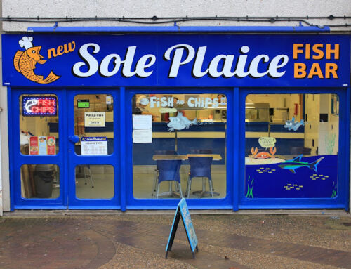 New Sole Plaice