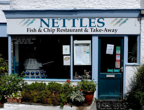 Nettles in Helston