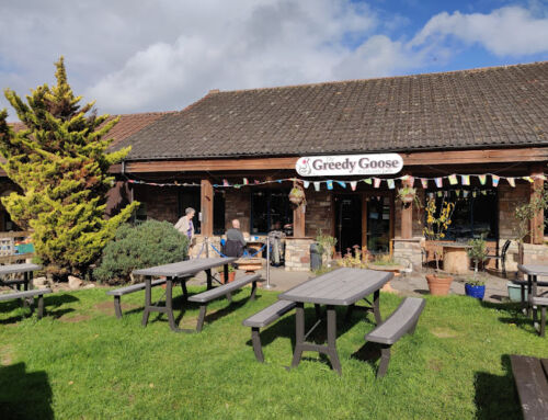 The Greedy Goose Bristol