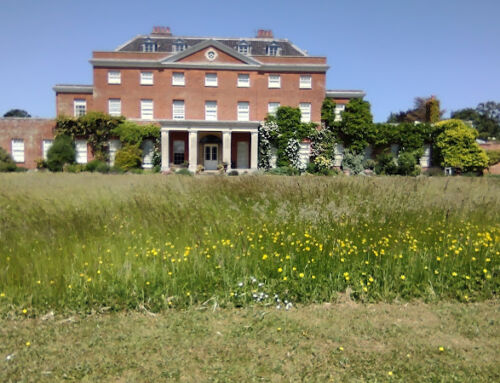Raveningham Gardens