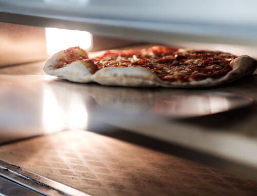 Ego at Manor Farm, Worcester