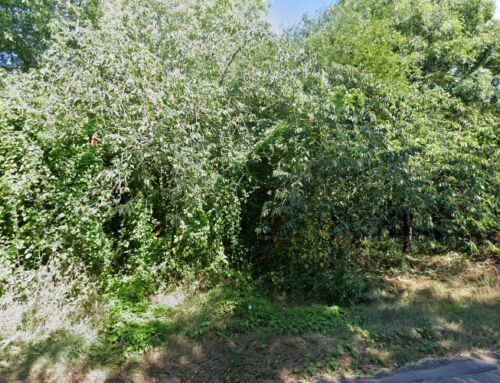 Gurkha Country Bar & Grill Worcester