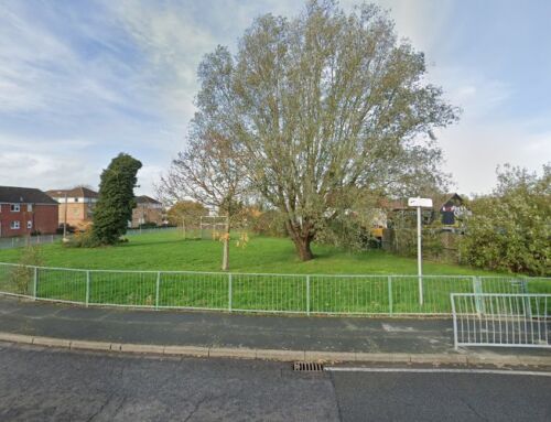 The pink cottage bbq