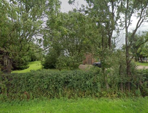 Rushfield Alpacas
