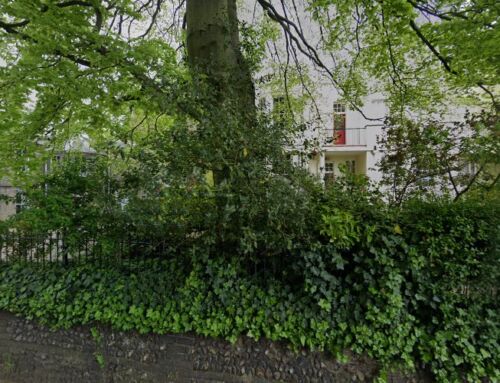 Rare Grill & Steakhouse