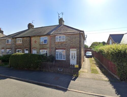 Kliver jack Vegan Restaurant